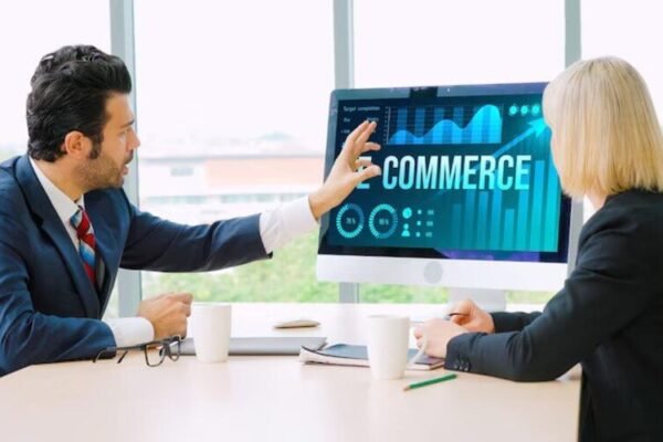 Ecommerce PPC Consultant
